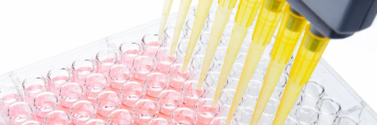 protocole cônes pipettes
