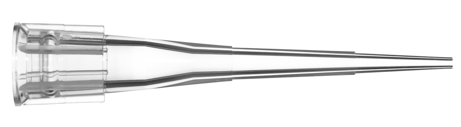 Pointe AHN