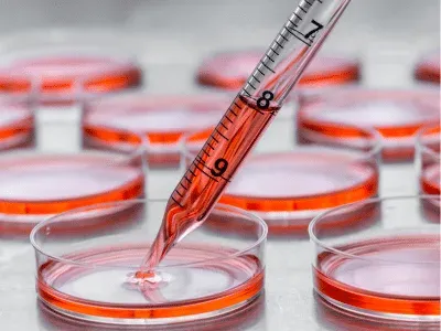 Pipettes sérologiques, courtes ou longues, une solution pour toutes vos applications !